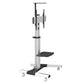 Wolff Mount TVB-34 tv floor stand – product view
